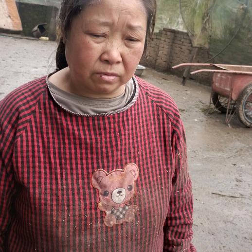 唐付老婆双目不明