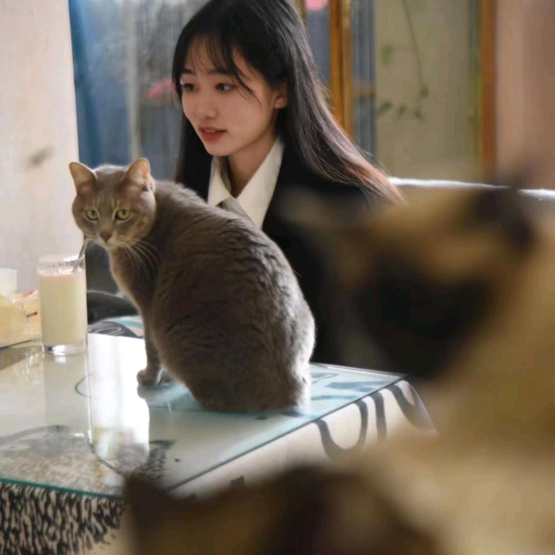 曾俊辉