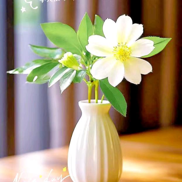 ☞余生♥看淡☜