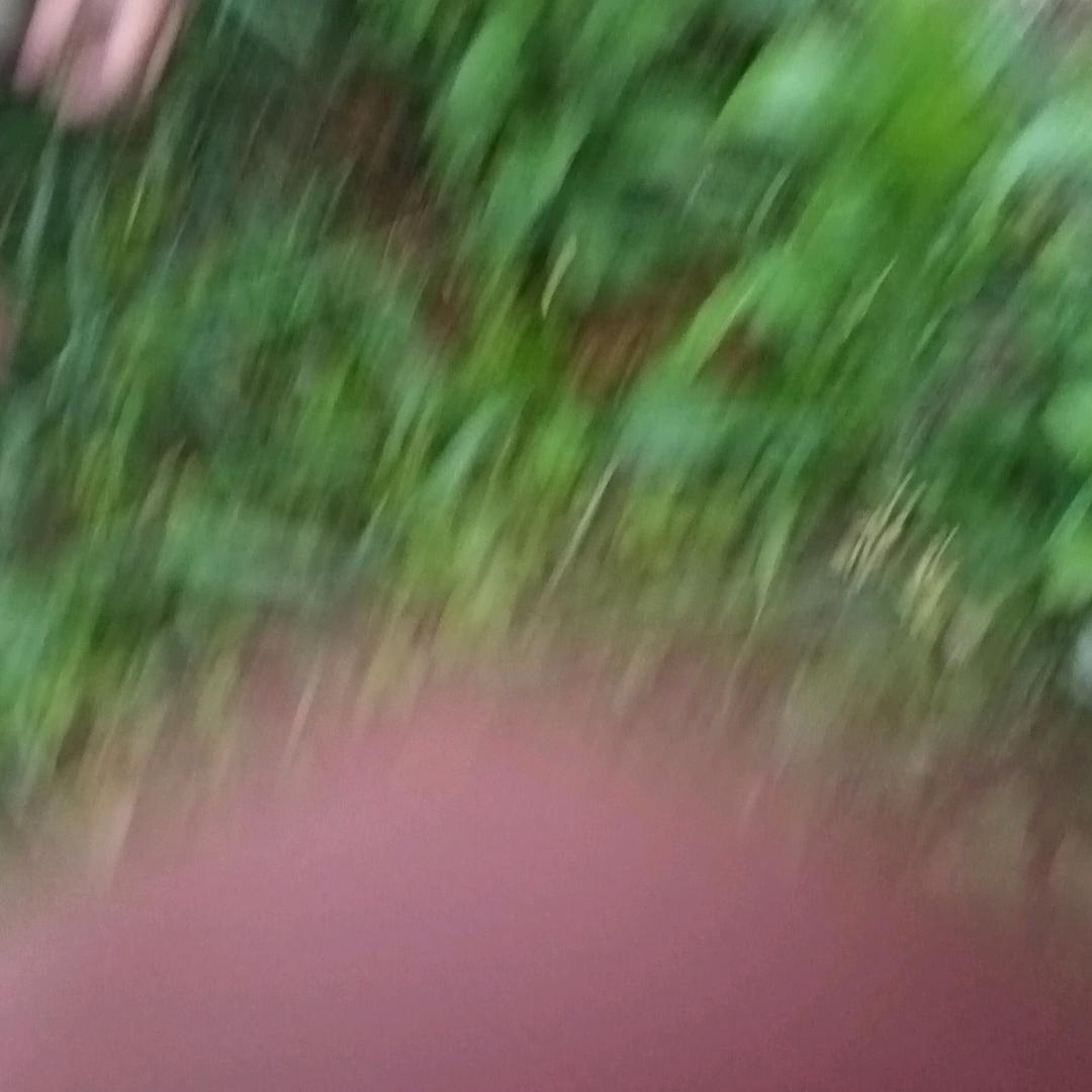 41705461245
