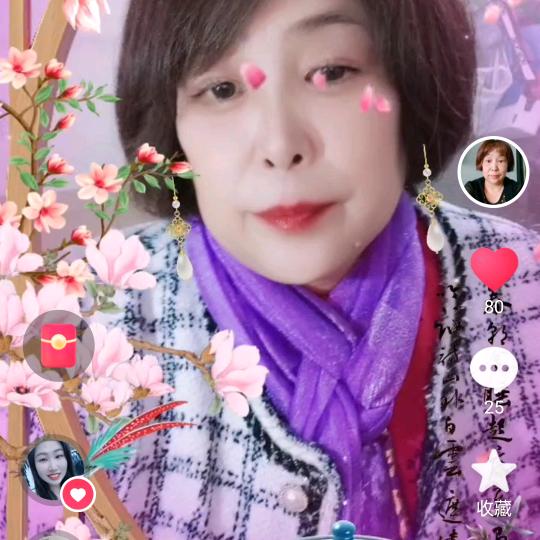 白玉兰不定时开播