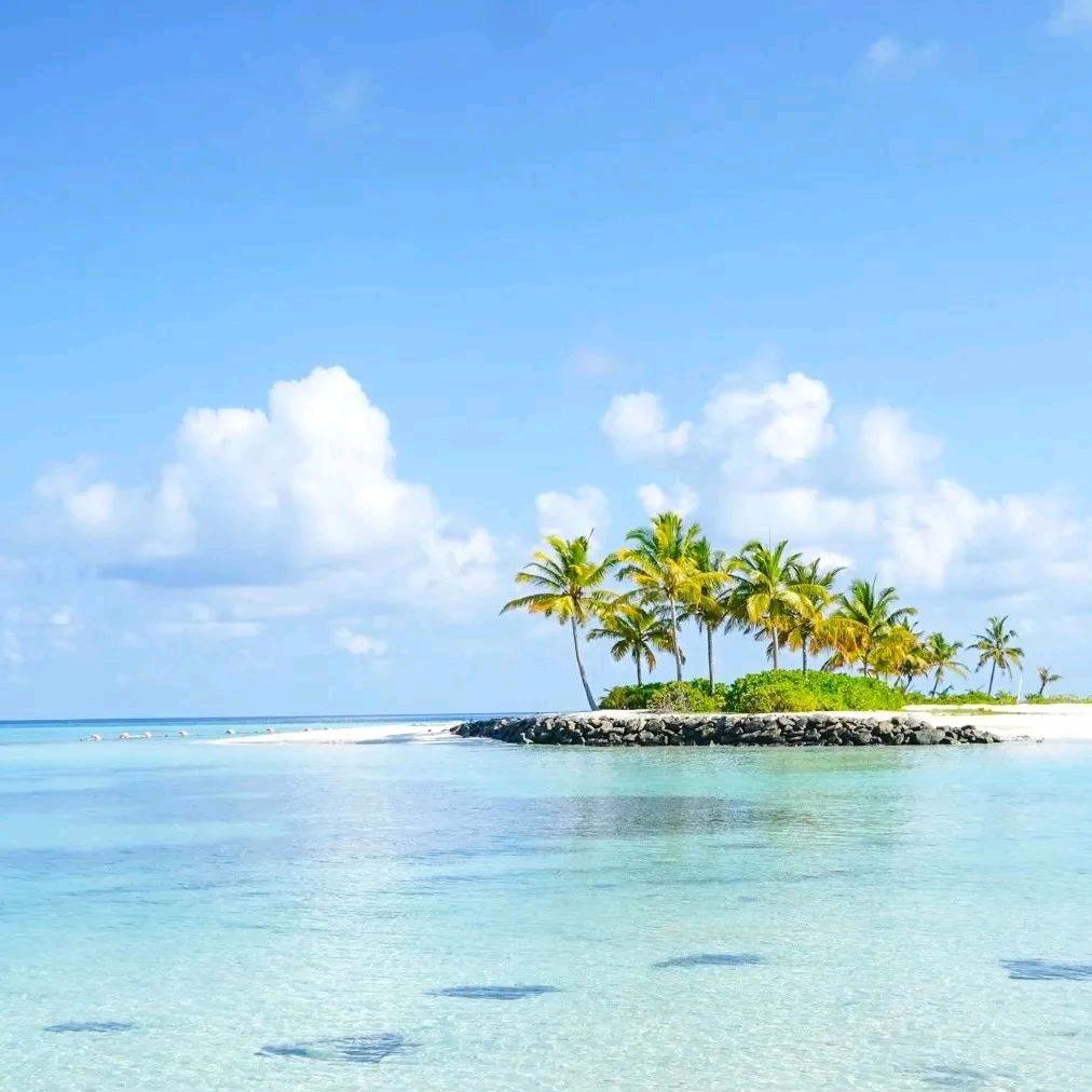 若兮⁵²⁷💞LQ