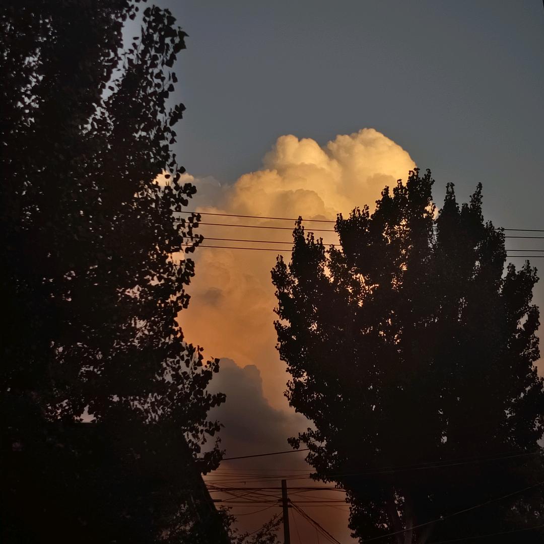 又见夏.