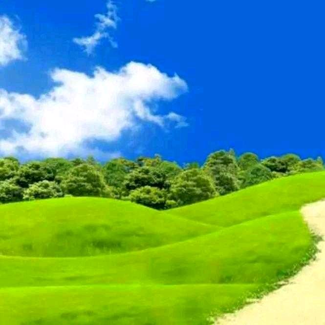 相伴健康
