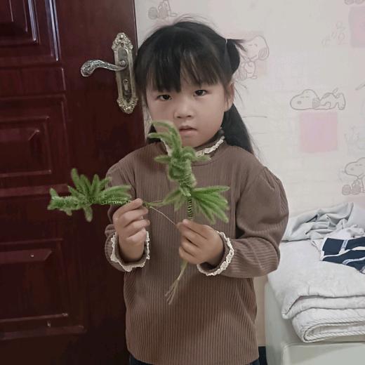 睡不着的泡泡糖💤