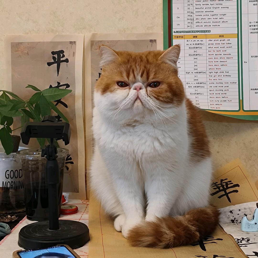 辣妹小熊🧸