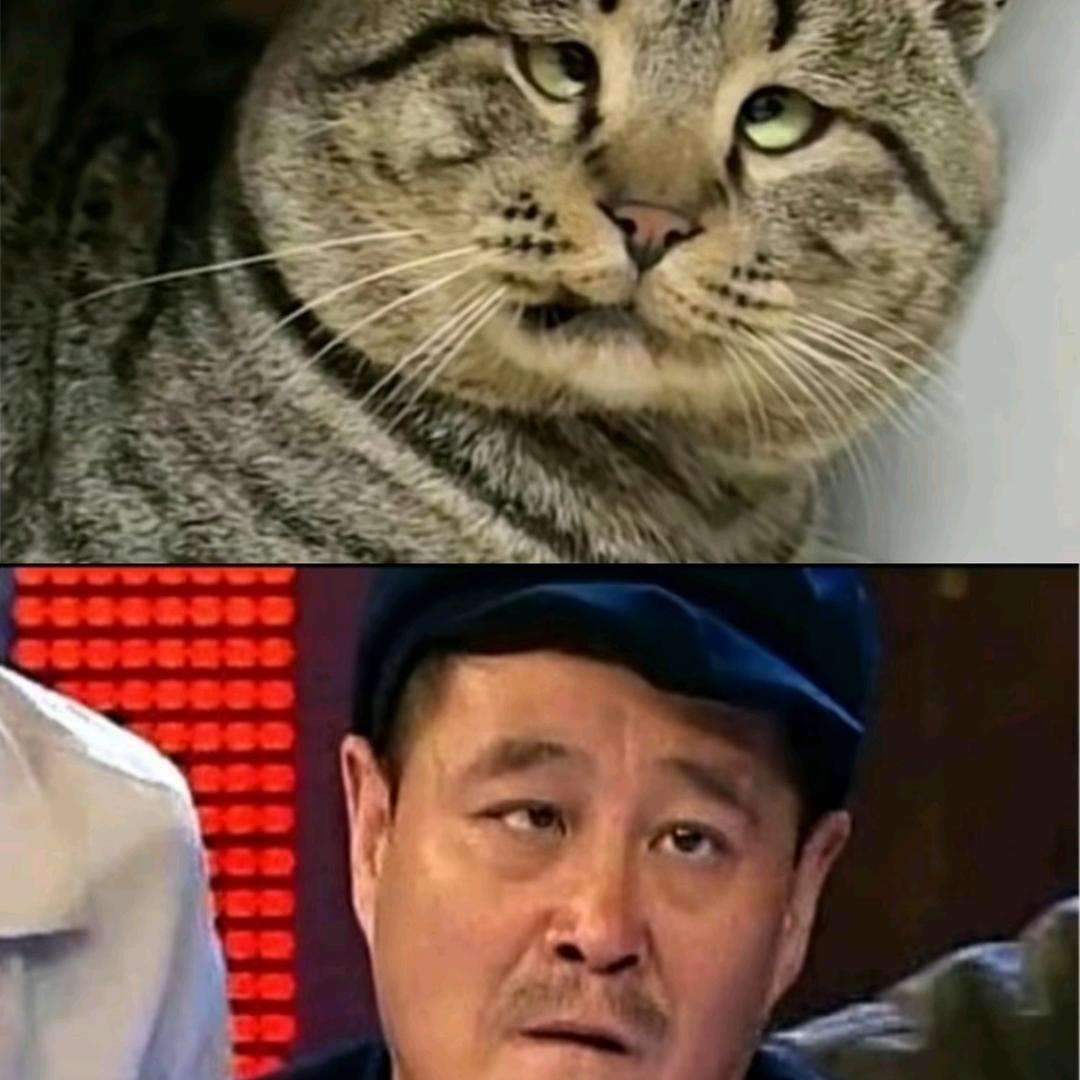 ɀꫝꪖꪀᧁྋ張࿐