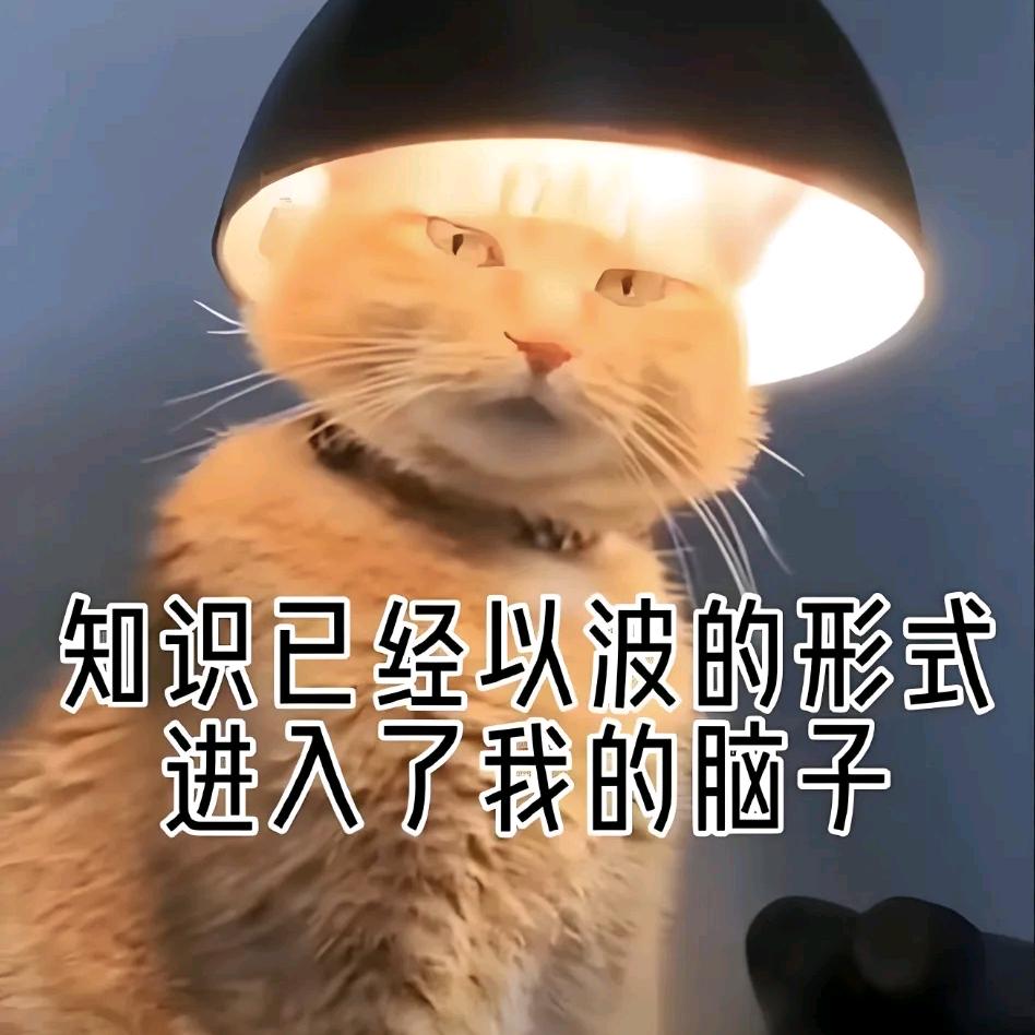 陈选…等36.1万人