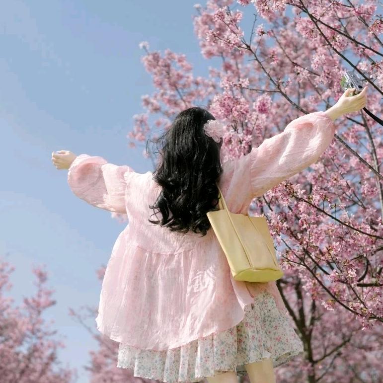蓝梅汁