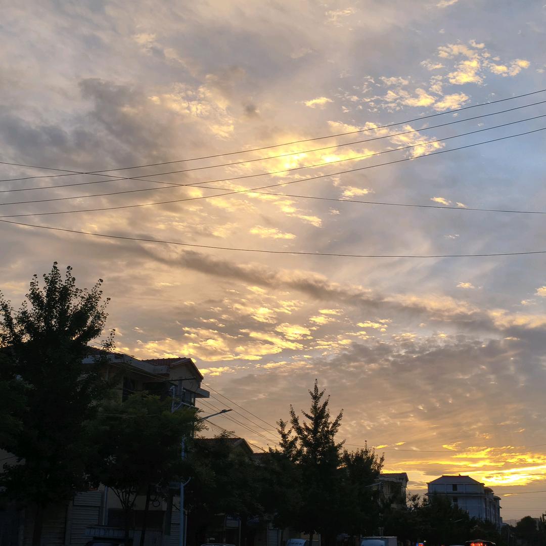 用户常乐