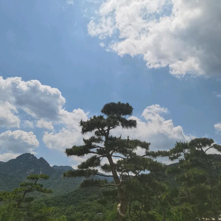 缘来是你！