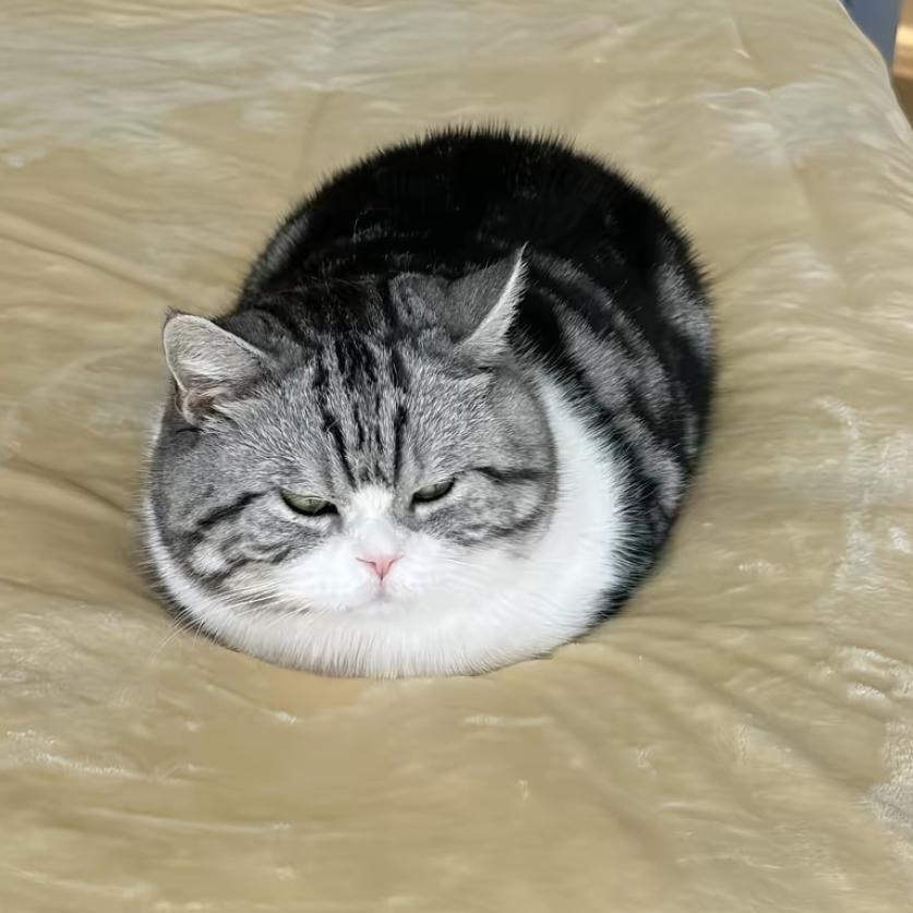 椰子糕