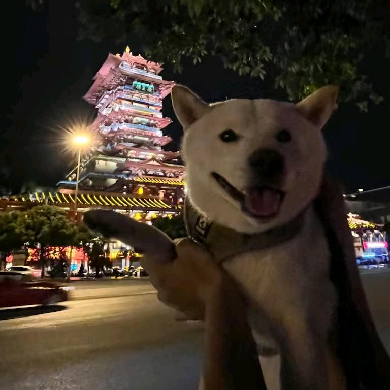 网抑云