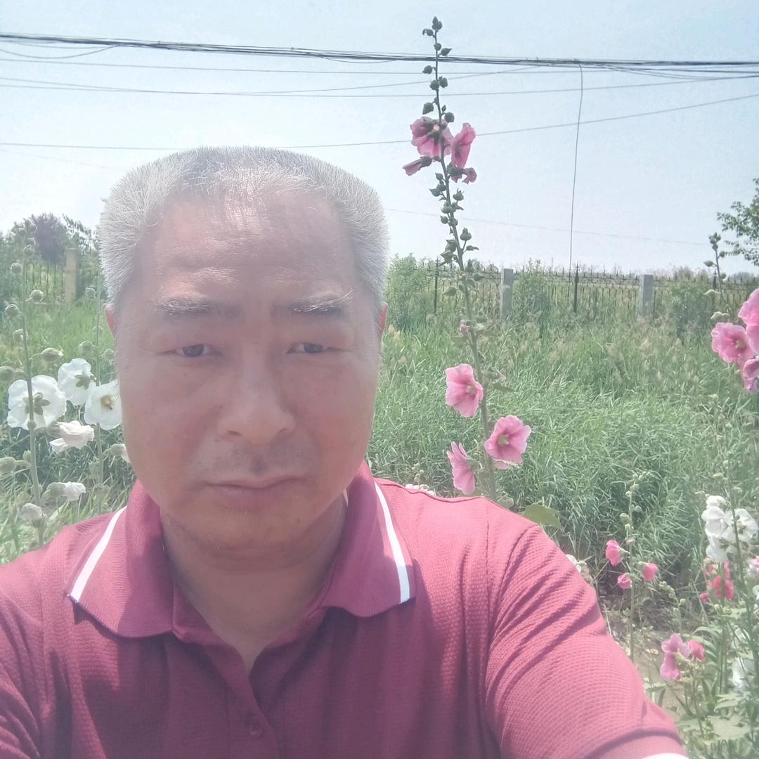 山东（菏泽苦命人:)