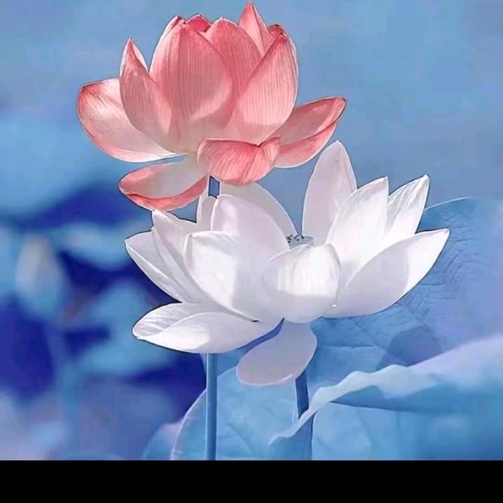 逍遥✘