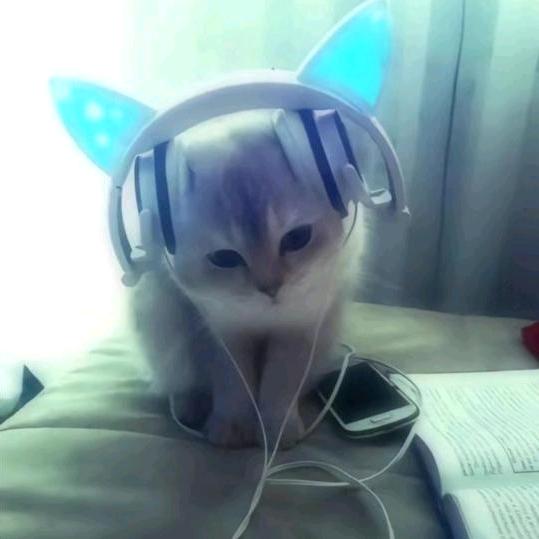 爱咋咋