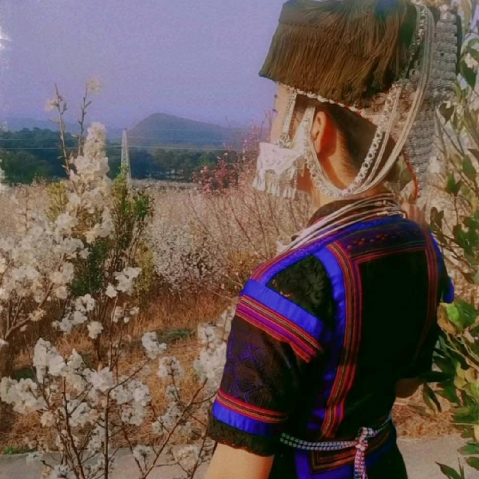 苗阿朵
