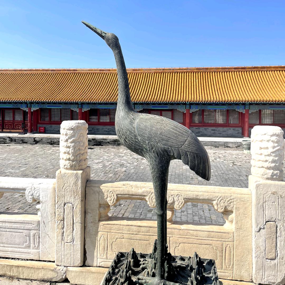 赵志林