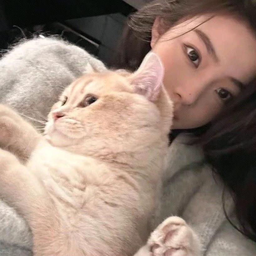 柒小猫🐱