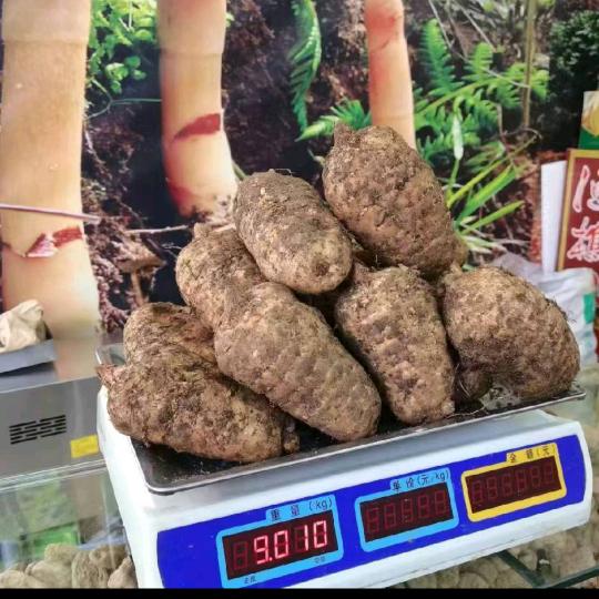 镇乡之品，云天麻