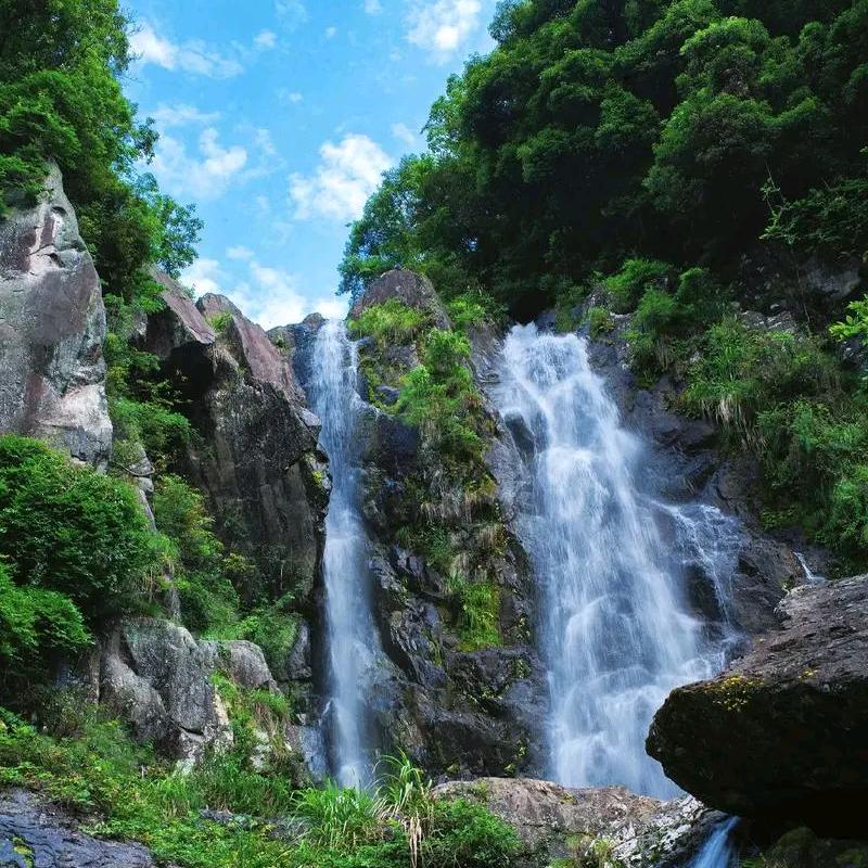 爱卿平身