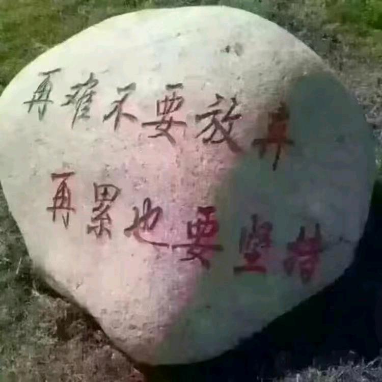 爷🌞拽习惯了