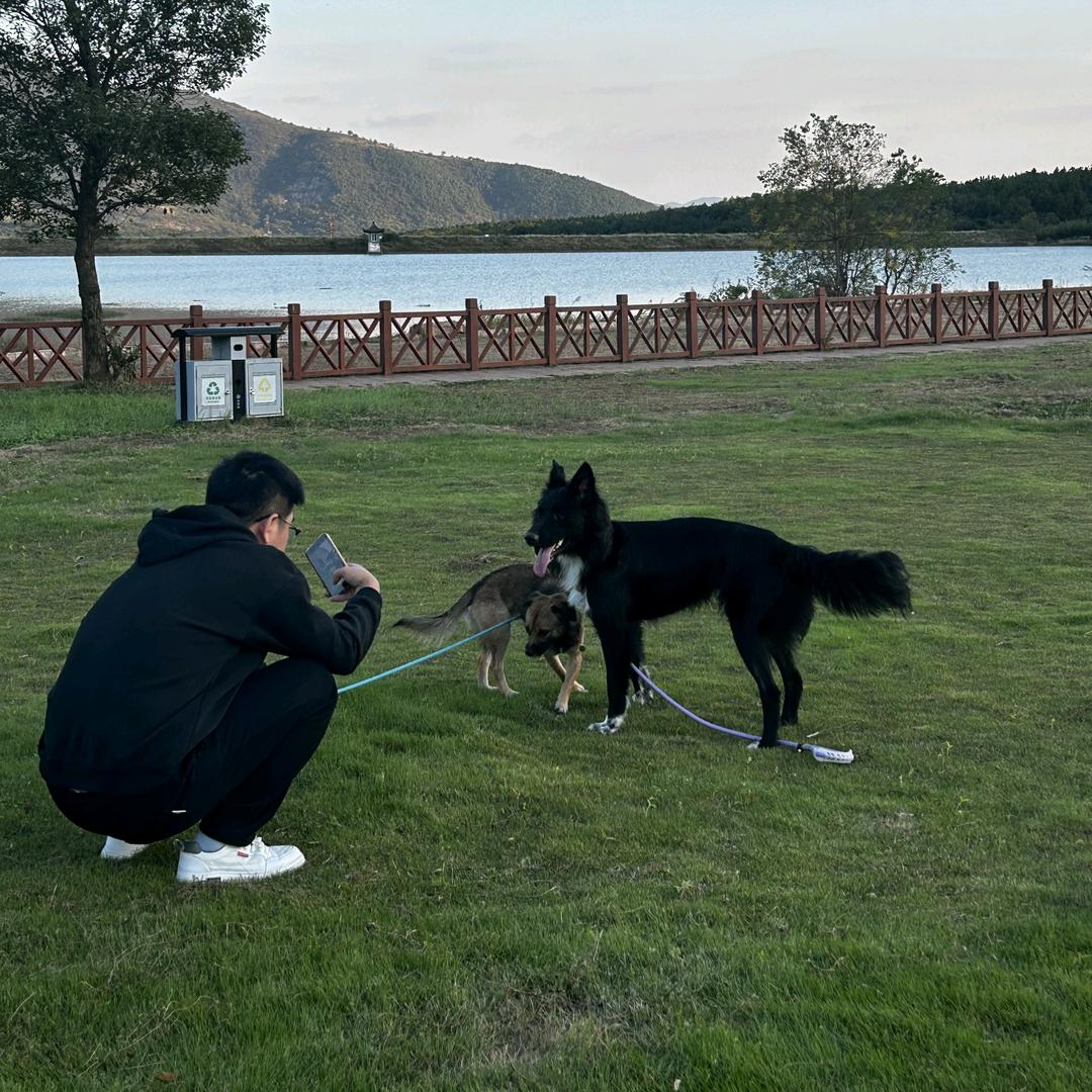 合肥卖迪子的小苏