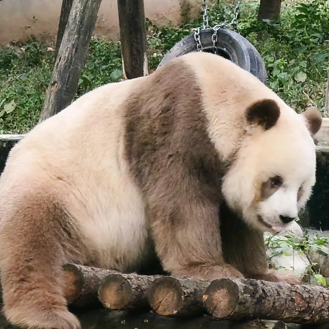 盛夏丶别离