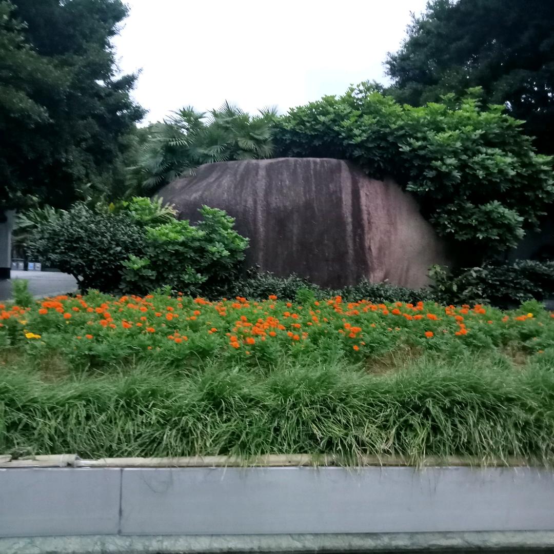 明天会更好