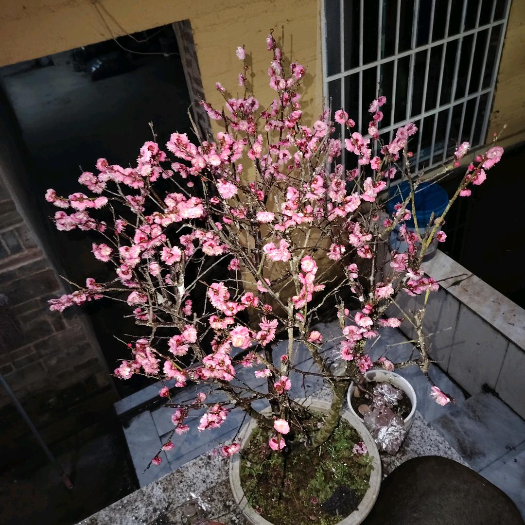 雨过添晴