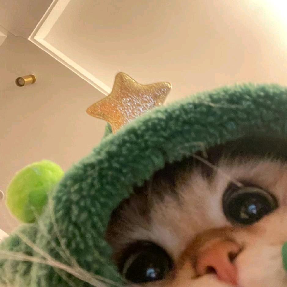 哇哇