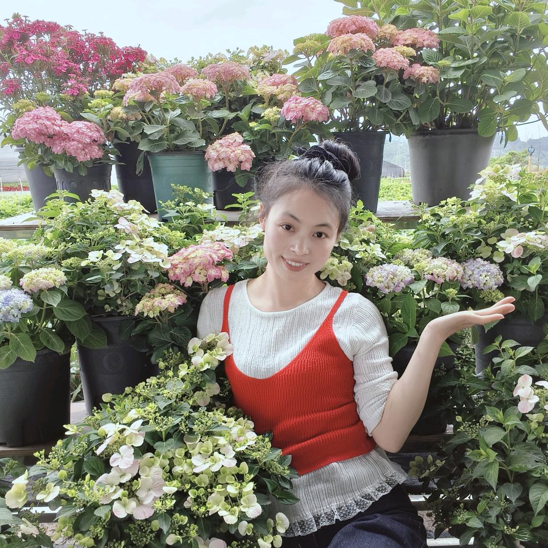 杨杨源头好货