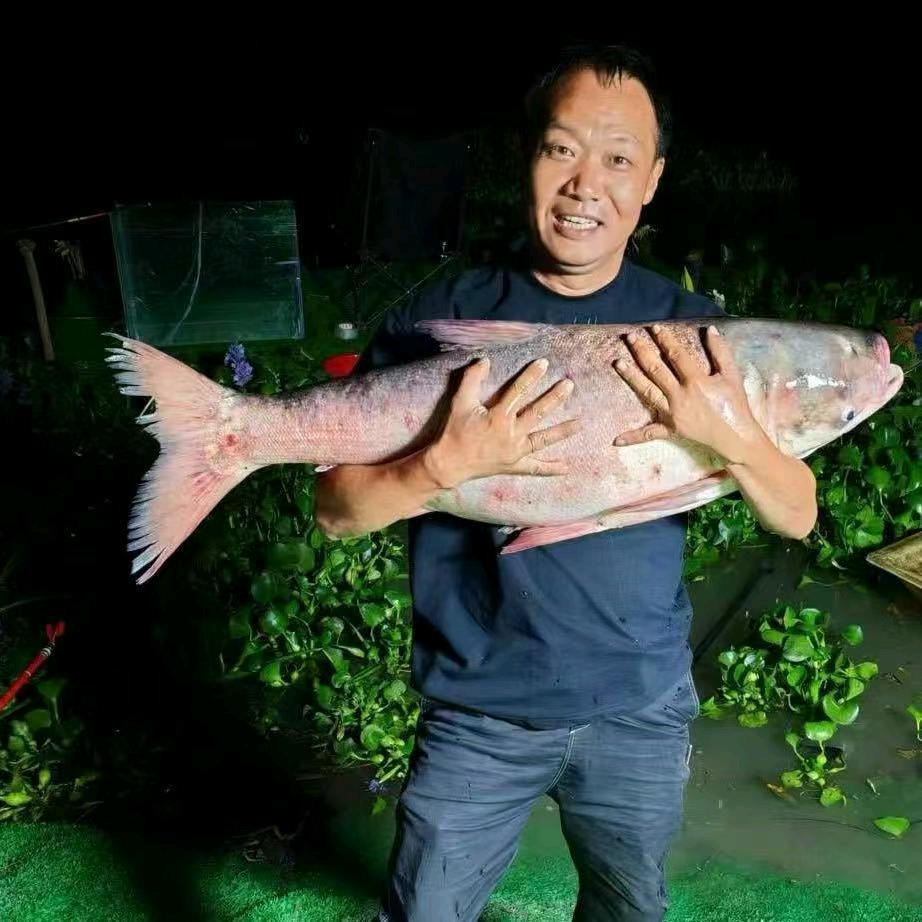 老白钓鱼