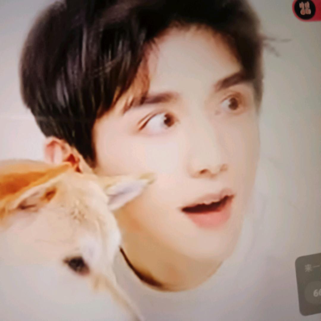 玲