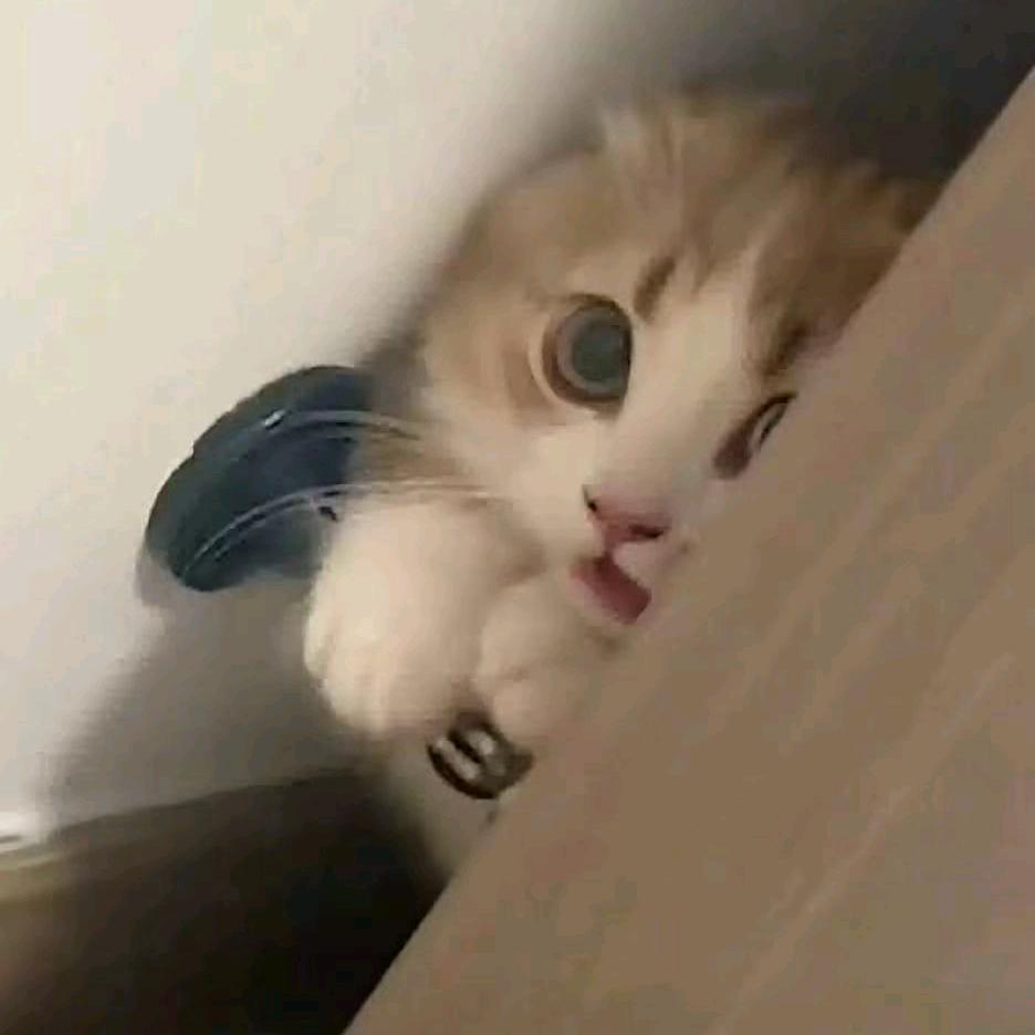 拾叁