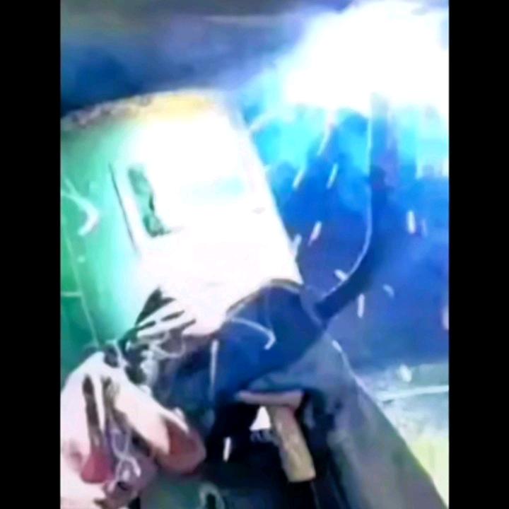 独来∮独往🏍笑看人生