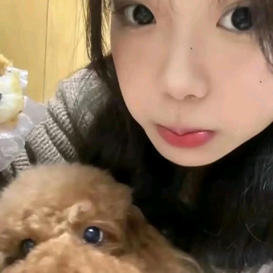 玲(*^ω^*)૮₍◜