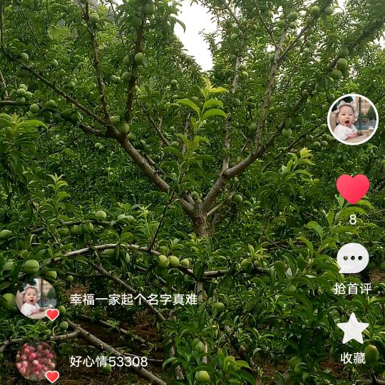 永远开心