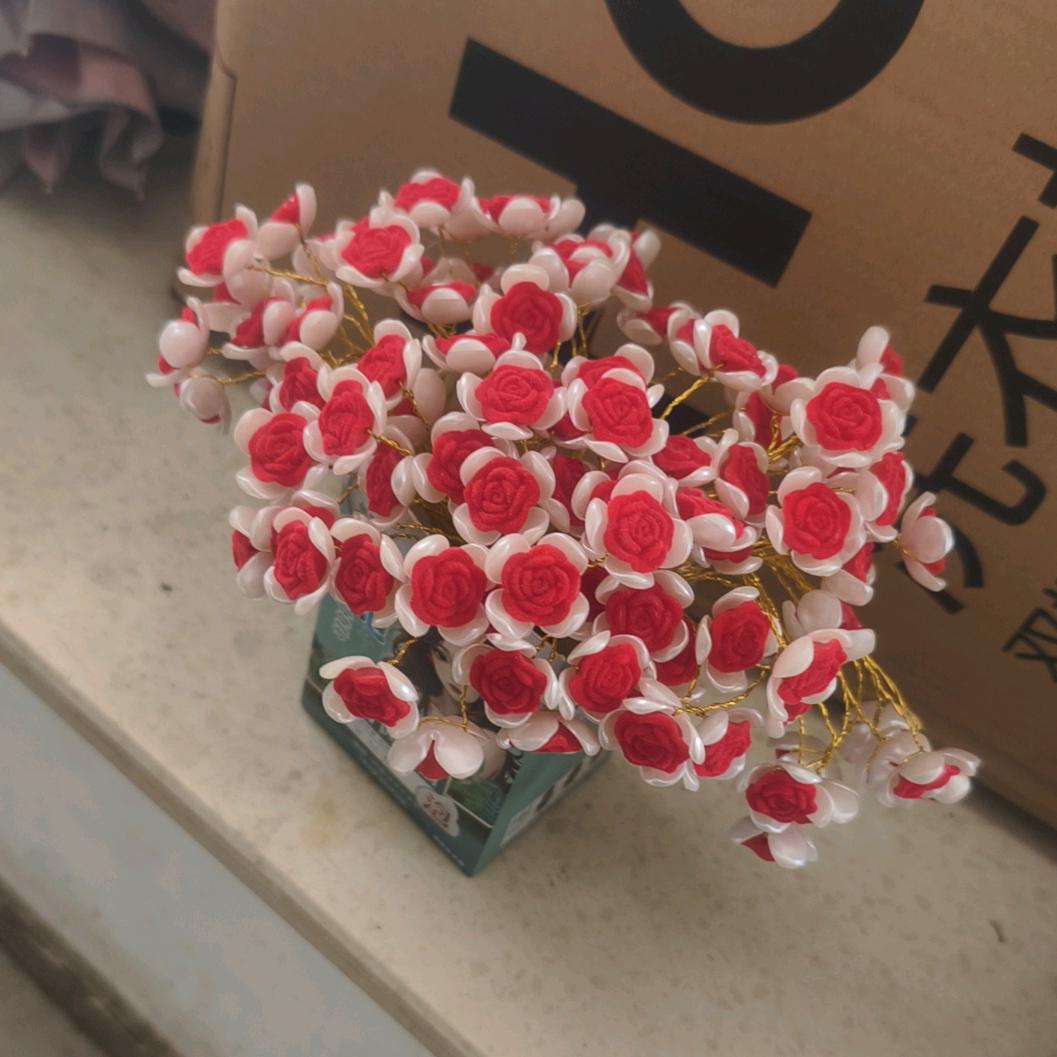 初心不忘 过往不记