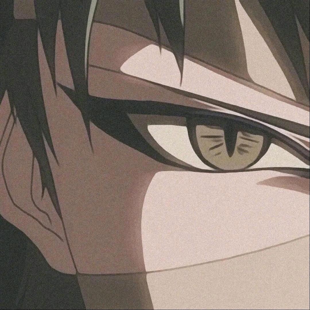 辛哇塞