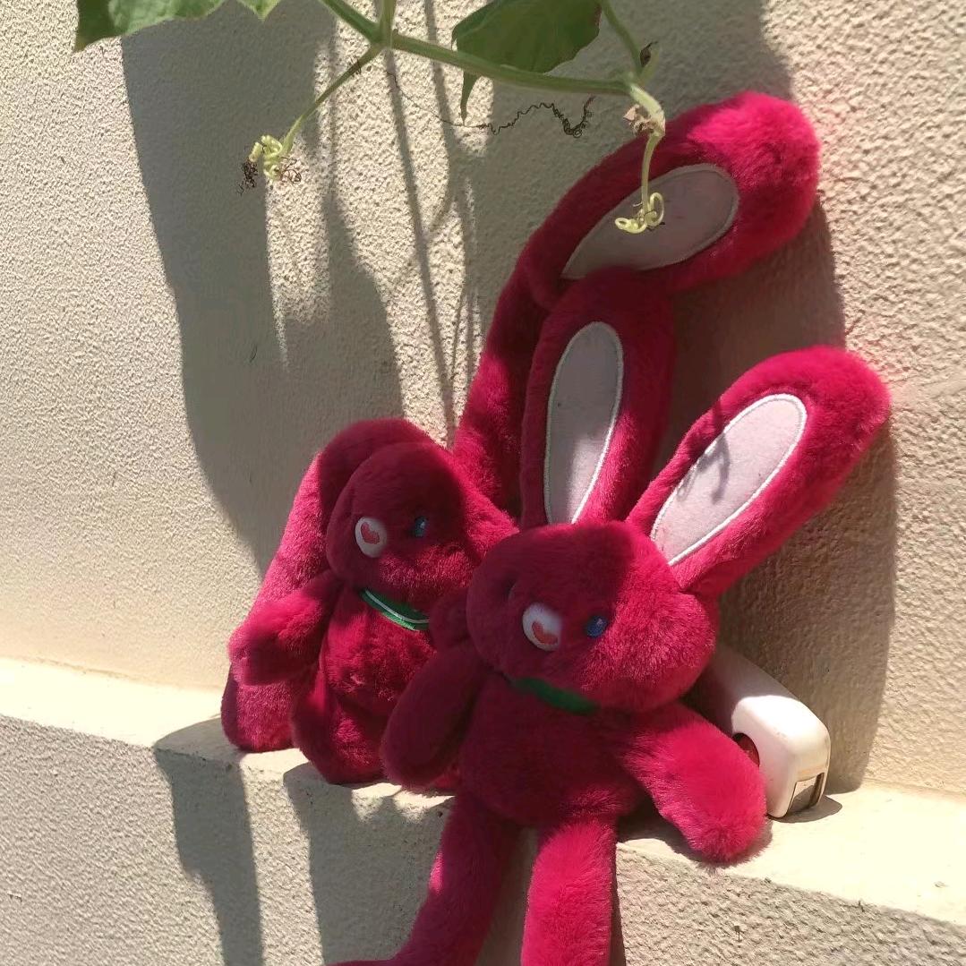 一花🌸一草🍀一世界