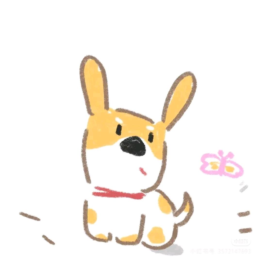 小鱼🌾
