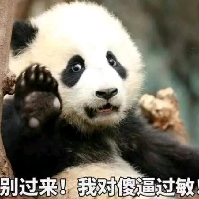 小嘛小二榔