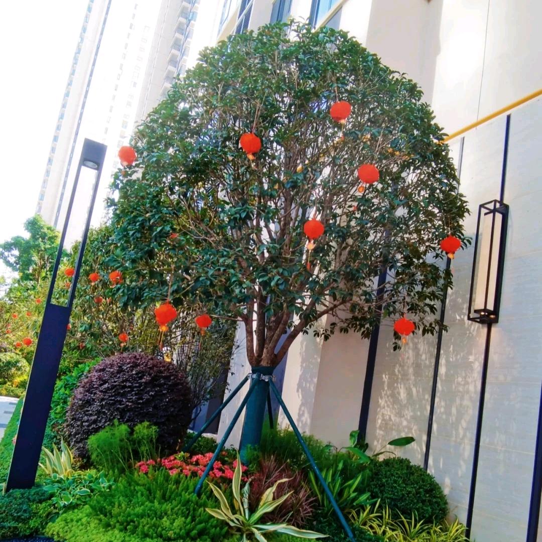 知米