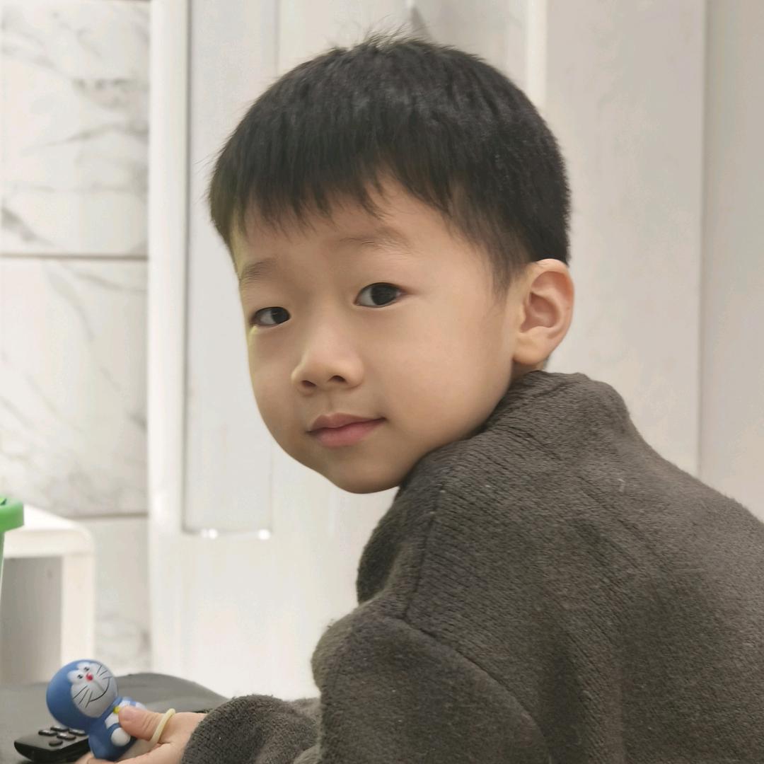鸿鹄2314775