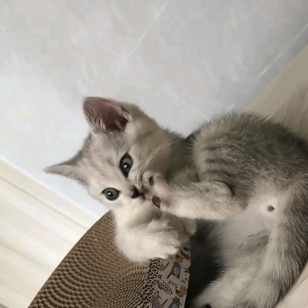 ✌🏻️☘️☘️