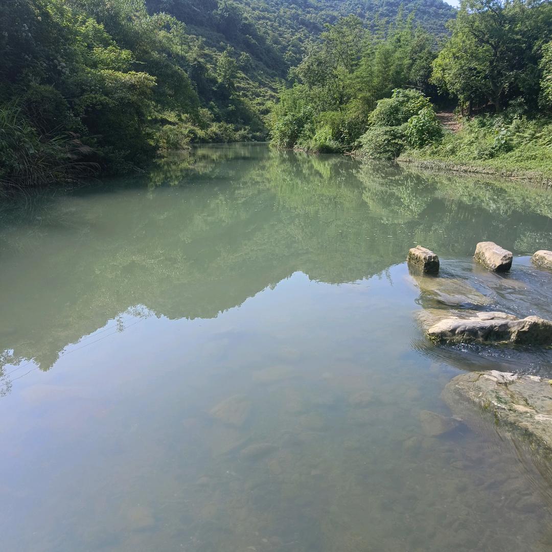 溪流钓之白条杀手