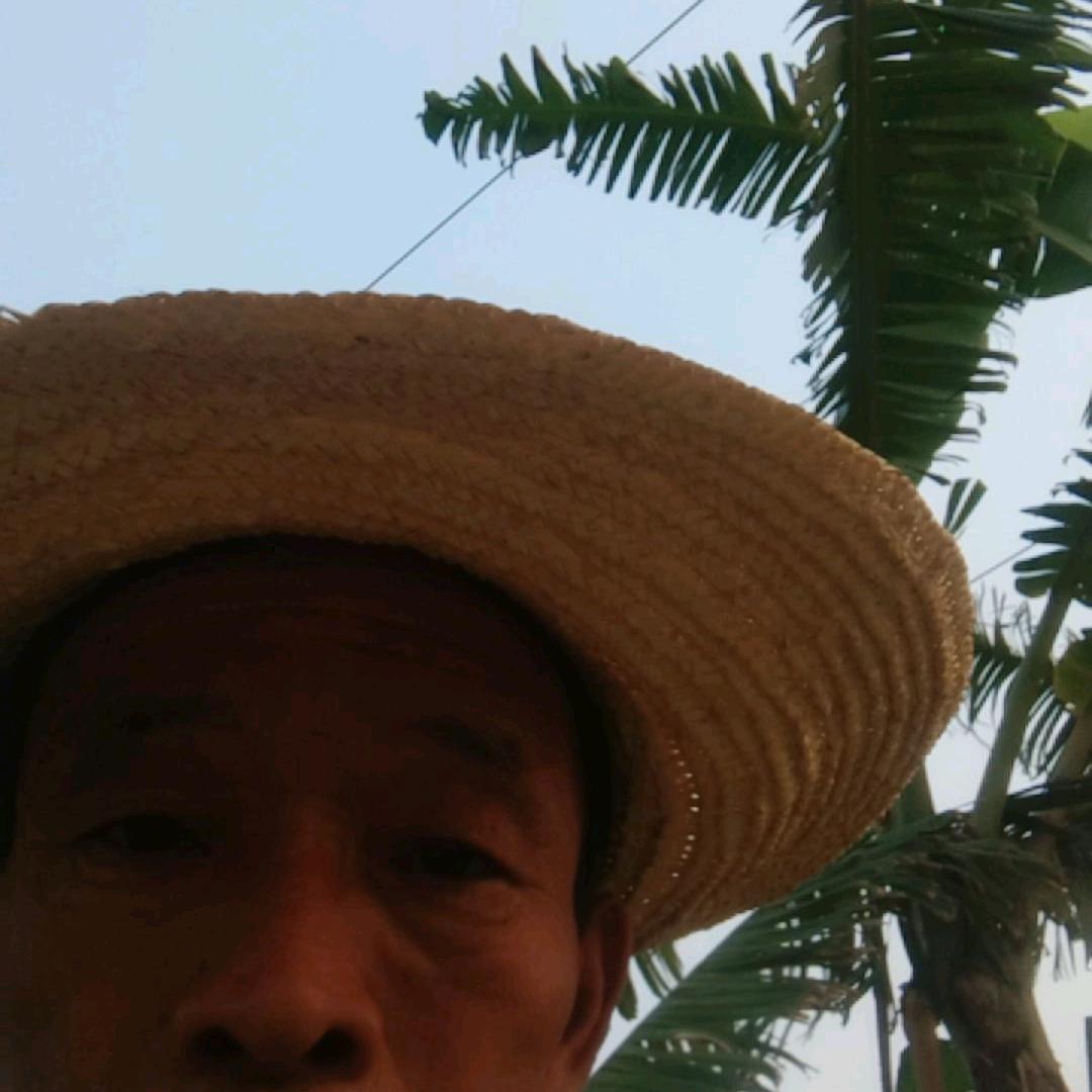 盛岡以遠れて出品