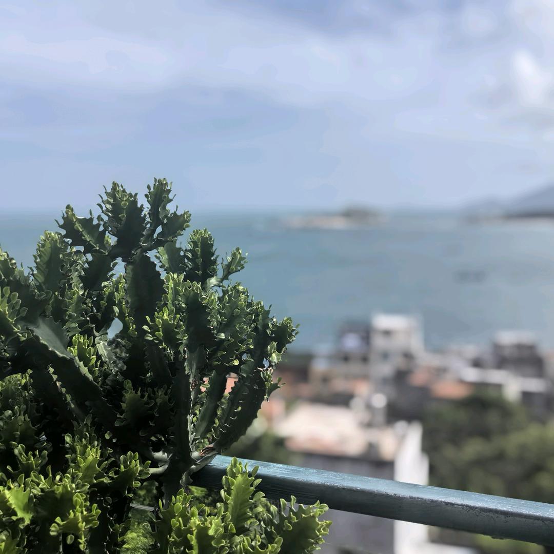 我要做学霸