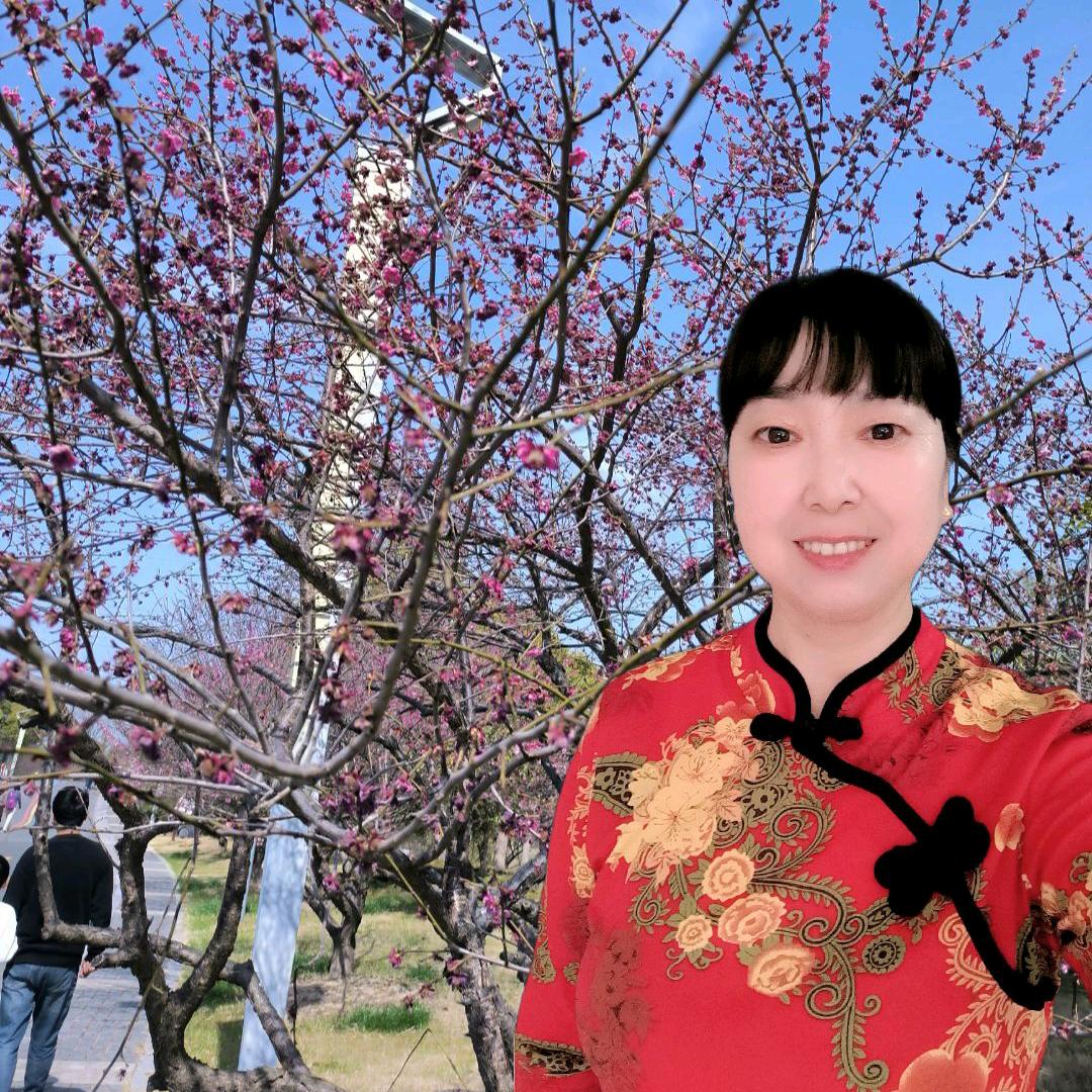 兰兰橱窗好物